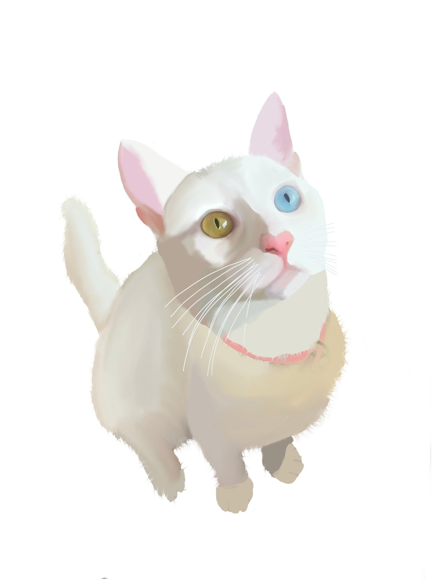 Digital Pet Portrait| Custom Digital Illustration